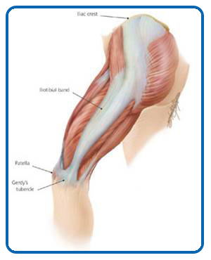 ITB-iliotibial-band